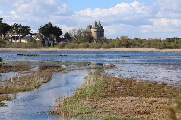 Notre sélection d'animations proposées par les campings d'Urrugne